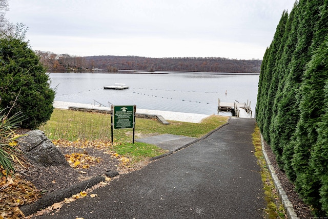 view of water feature with a dock