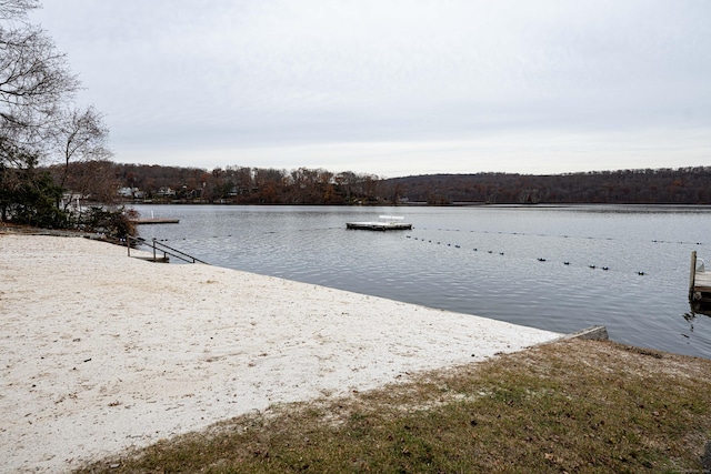 dock area featuring a water view