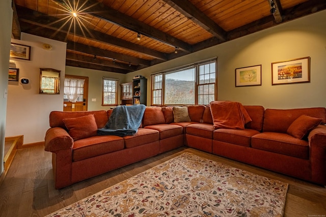 living room with wood-type flooring, wood ceiling, track lighting, and a healthy amount of sunlight