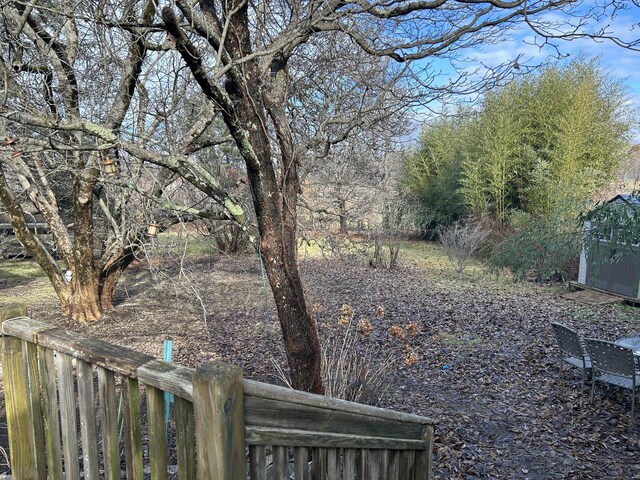 128 Main St S, Bridgewater, CT 06752 - view of yard