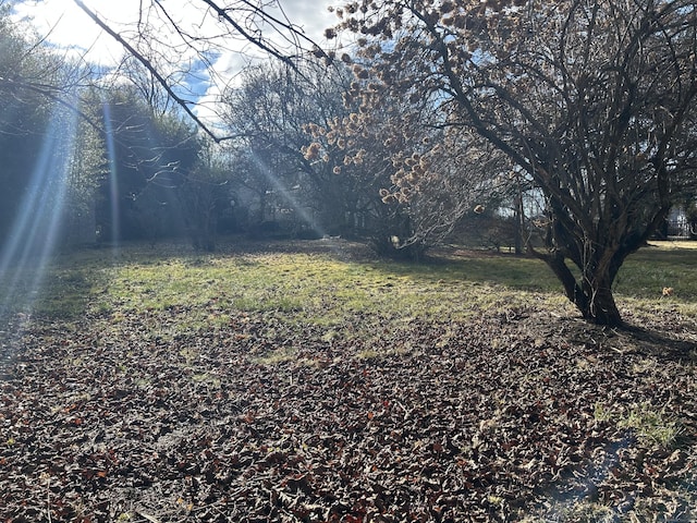 128 Main St S, Bridgewater, CT 06752 - view of yard