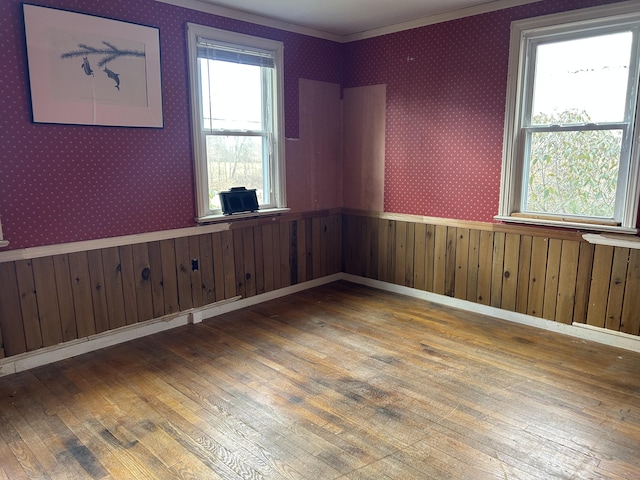 128 Main St S, Bridgewater, CT 06752 - empty room featuring hardwood / wood-style floors, wood walls, and a wainscoted wall