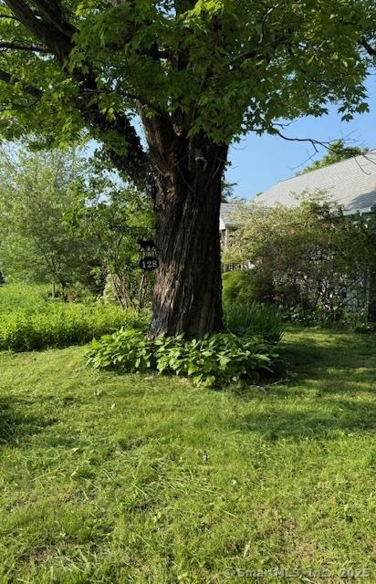 128 Main St S, Bridgewater, CT 06752 - view of grassy yard