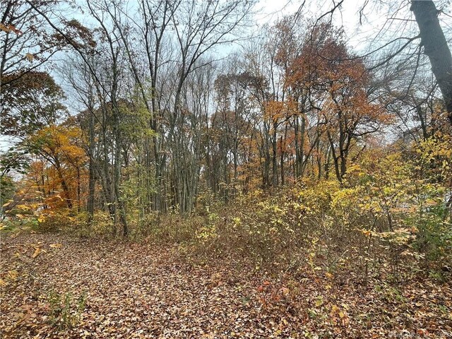 5 Autumn Way, Ledyard, CT 06339 - photo 10