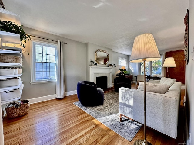 living room featuring a fireplace and light wood-type flooring