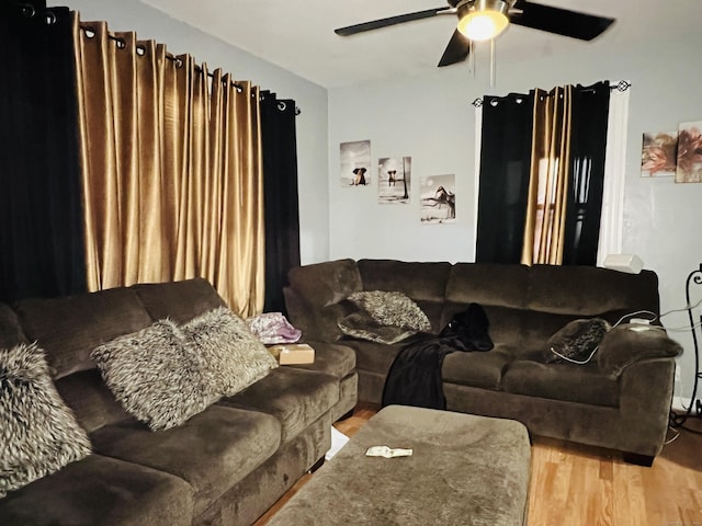 living room featuring ceiling fan and hardwood / wood-style floors