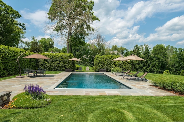 view of swimming pool featuring a yard and a patio