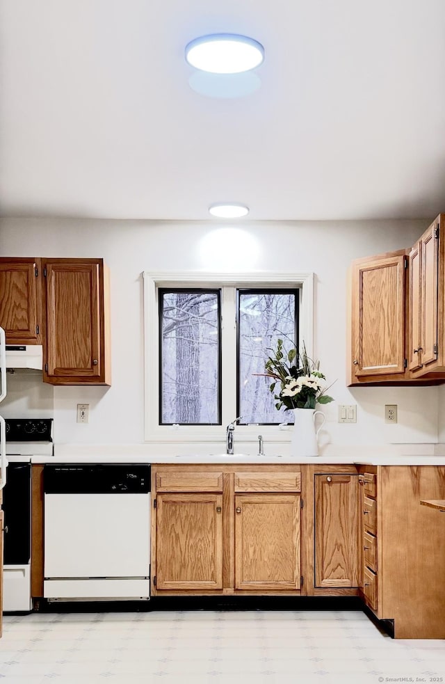 kitchen with dishwasher, stove, and sink