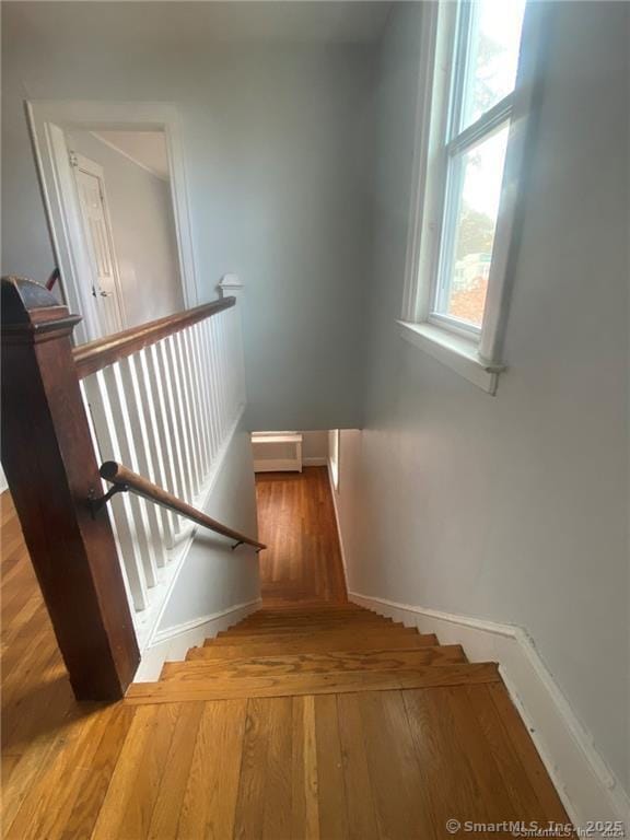 stairway with hardwood / wood-style flooring