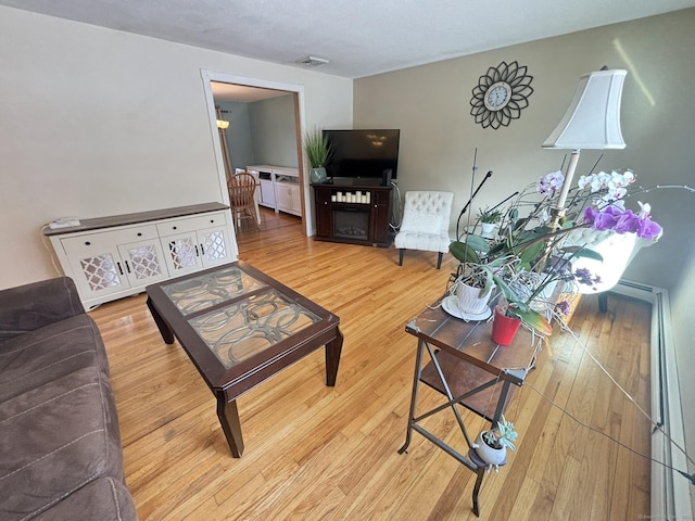 living room with a fireplace and hardwood / wood-style flooring