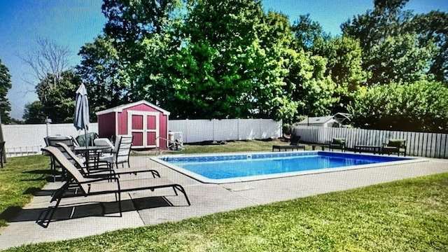 view of swimming pool with a yard, a patio area, and a storage unit