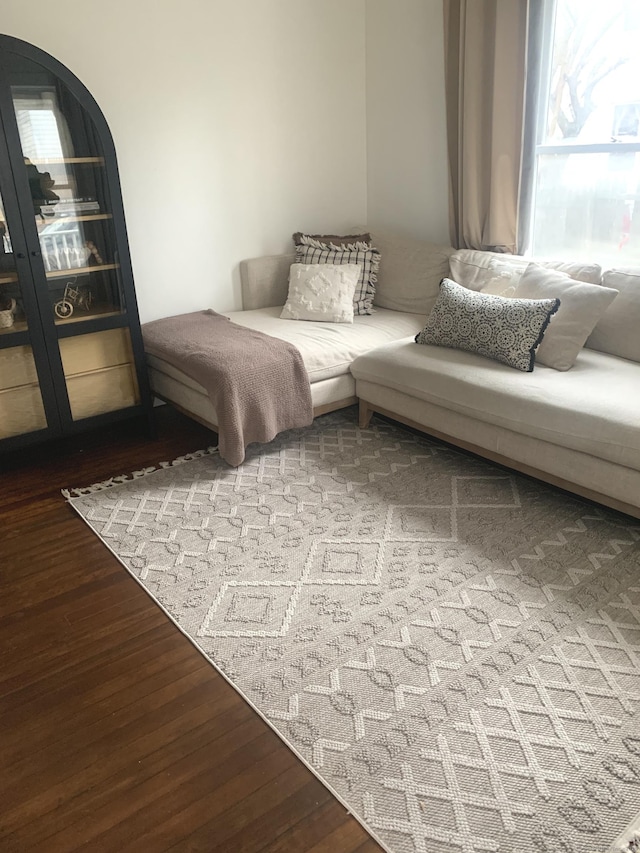 living room with hardwood / wood-style flooring and a wealth of natural light