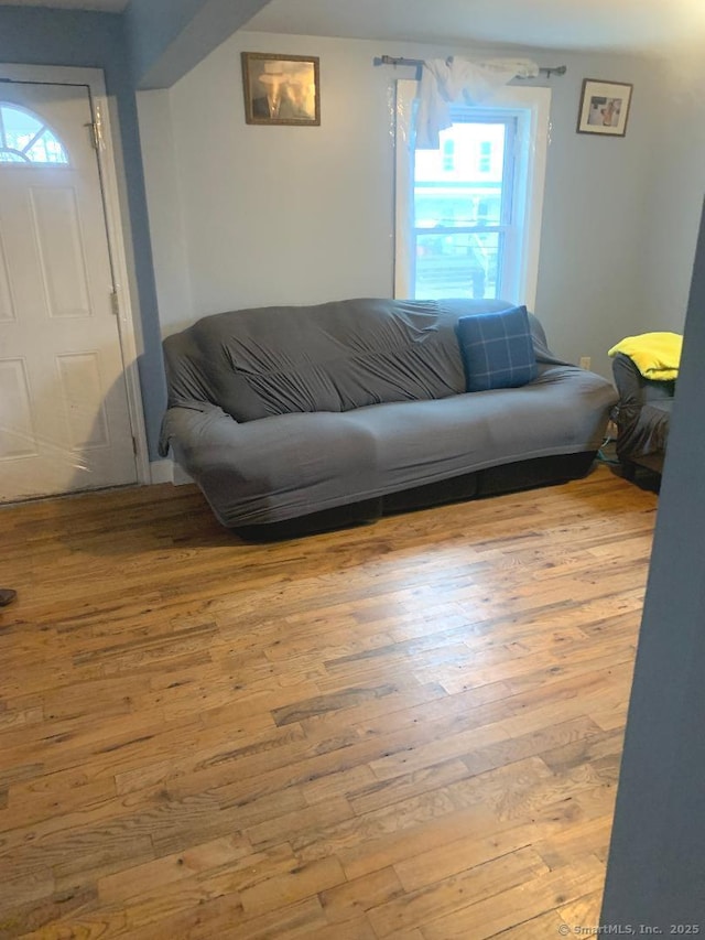 living room featuring light hardwood / wood-style floors