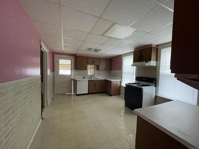 kitchen with white appliances, a drop ceiling, plenty of natural light, and sink