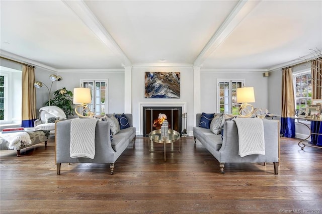 living room with dark hardwood / wood-style flooring, a healthy amount of sunlight, and ornamental molding