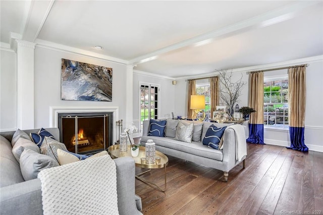 living room featuring dark hardwood / wood-style flooring and crown molding