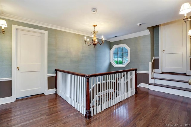 hall with dark hardwood / wood-style flooring, ornamental molding, and an inviting chandelier