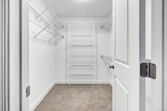 walk in closet with carpet