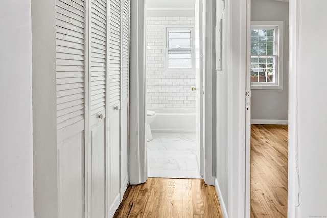 hallway featuring light wood-type flooring