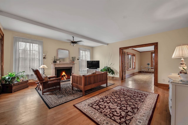 living room featuring ceiling fan, plenty of natural light, beamed ceiling, and light wood-type flooring