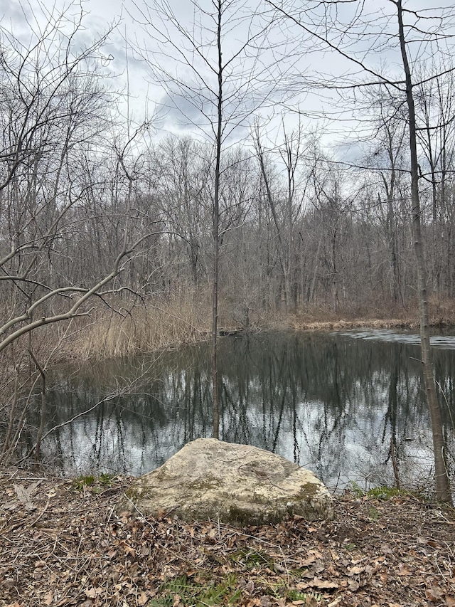 property view of water with a view of trees