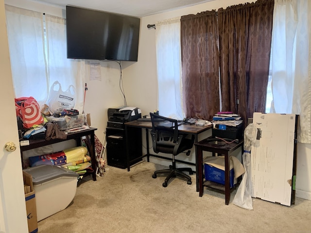 office area featuring light colored carpet