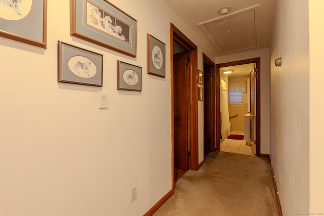 corridor featuring light colored carpet