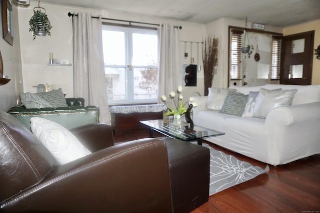 living room with wood-type flooring