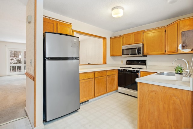 kitchen featuring sink, stainless steel appliances, and light carpet