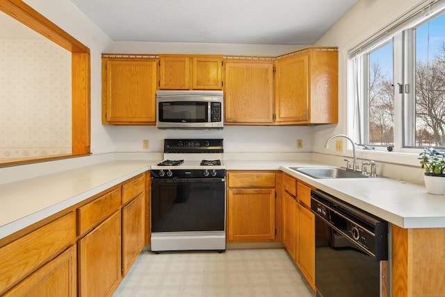 kitchen with gas range gas stove, sink, and black dishwasher