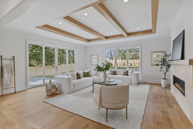 living room with a tray ceiling and light hardwood / wood-style flooring