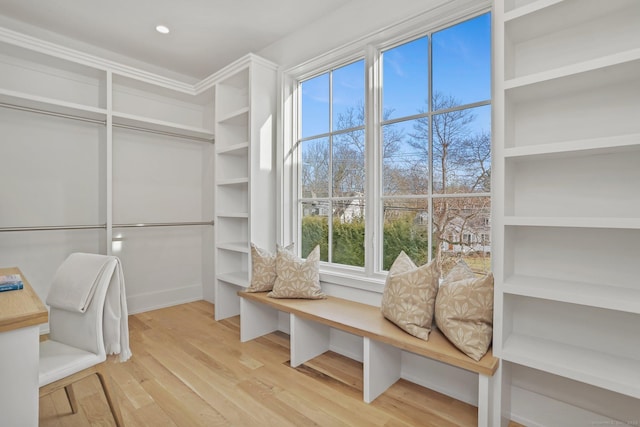 walk in closet featuring light hardwood / wood-style floors