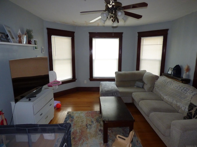 living room with ceiling fan and hardwood / wood-style flooring