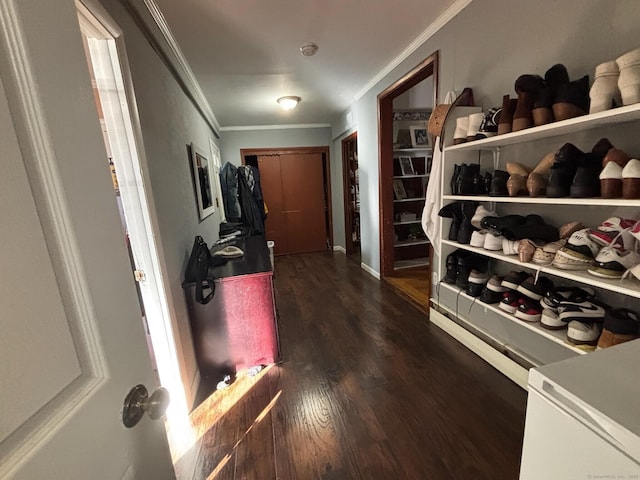 walk in closet featuring dark wood-type flooring