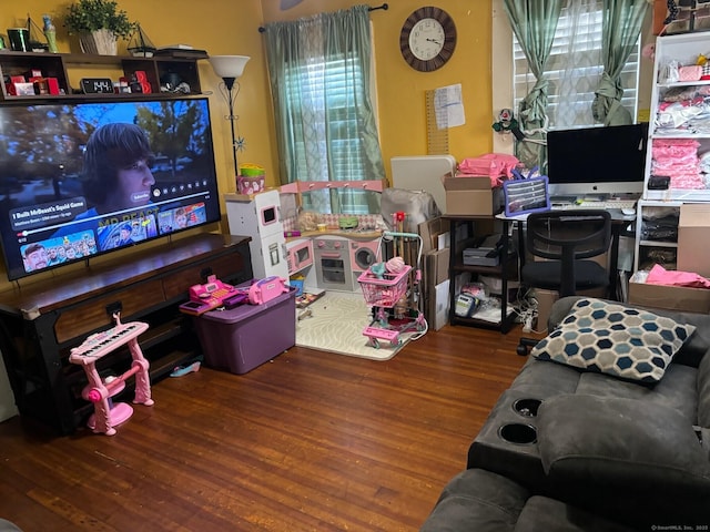 game room featuring wood-type flooring