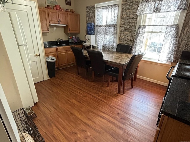 dining room with dark hardwood / wood-style flooring and sink