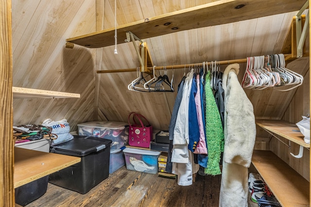 spacious closet featuring dark wood-type flooring