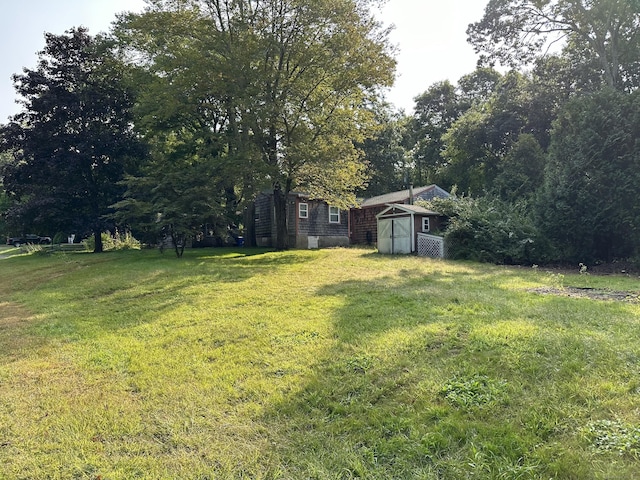 view of yard with a storage shed