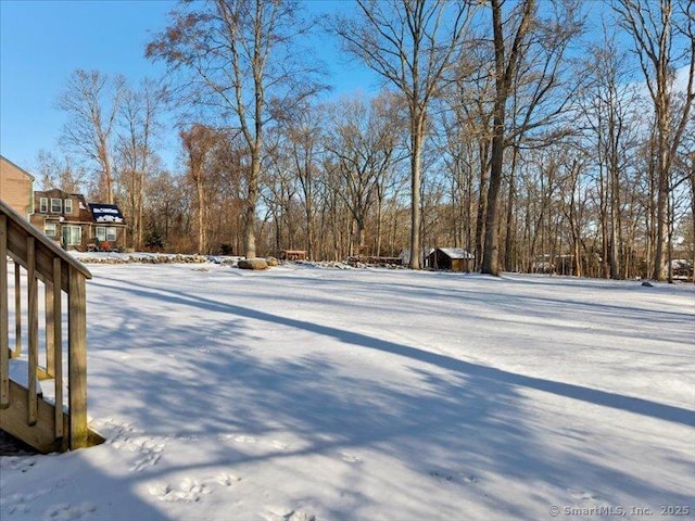 view of yard covered in snow