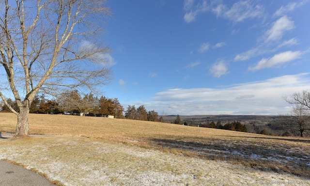 view of yard with a rural view