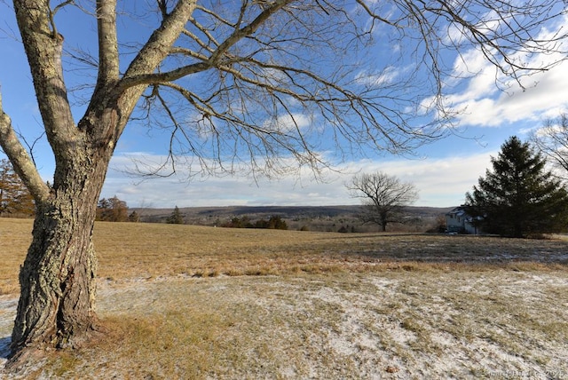 view of yard with a rural view