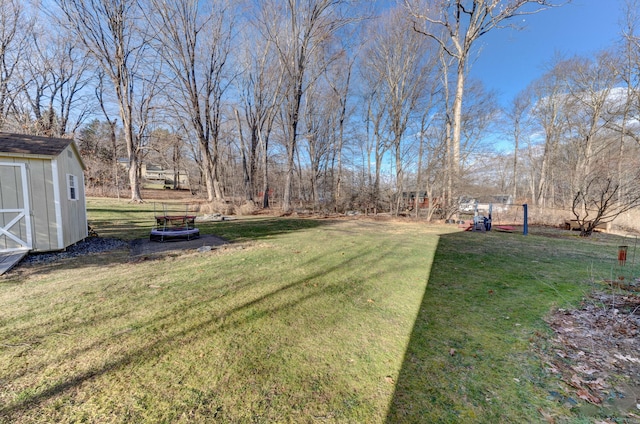 view of yard featuring a shed