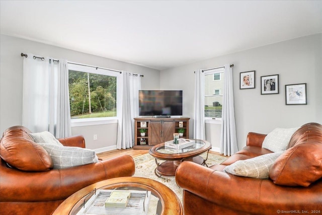 living room with light hardwood / wood-style flooring