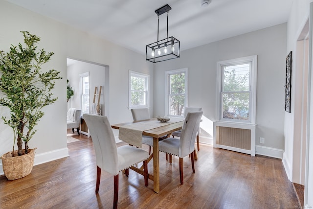 dining area featuring radiator heating unit and dark hardwood / wood-style floors