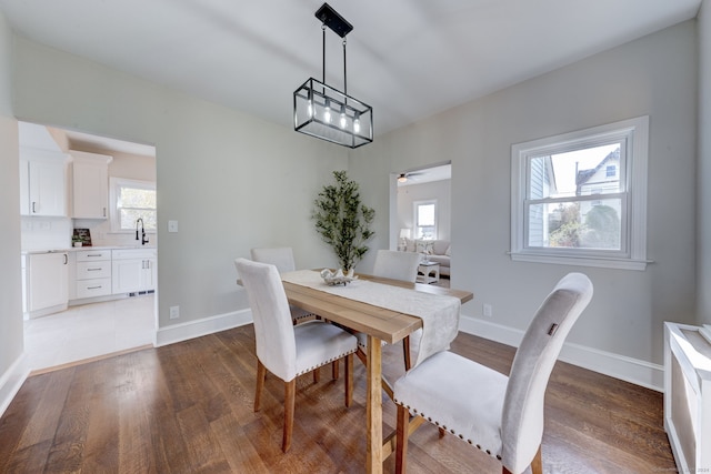 dining area with ceiling fan, sink, and wood-type flooring