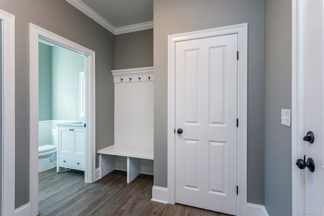 mudroom featuring dark hardwood / wood-style flooring and ornamental molding