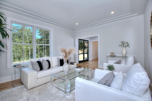 living room featuring light hardwood / wood-style floors and a wealth of natural light