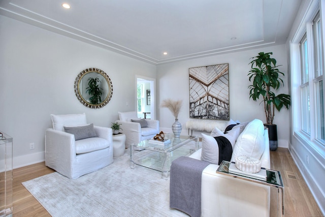 living room featuring light hardwood / wood-style floors and a healthy amount of sunlight