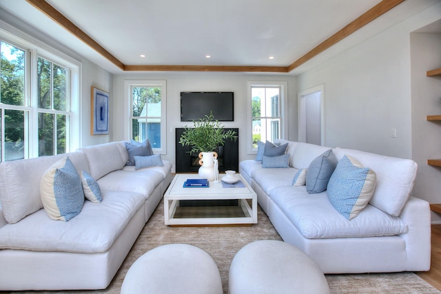 living room featuring a healthy amount of sunlight and light wood-type flooring