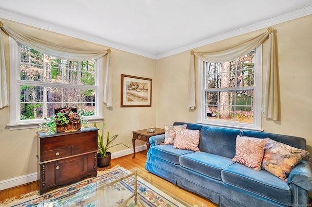 living room with ornamental molding and light hardwood / wood-style flooring